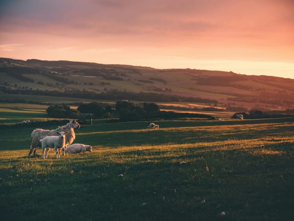 Solitude as a Place of Encounter